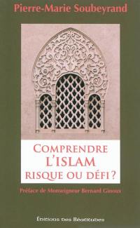 Comprendre l'islam, risque ou défi ?