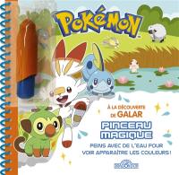 Pokémon : à la découverte de Galar : pinceau magique