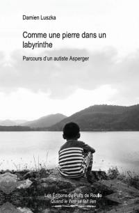 Comme une pierre dans un labyrinthe : parcours d'un autiste Asperger