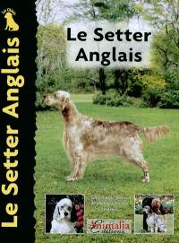 Le setter anglais