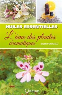 Huiles essentielles : l'âme des plantes aromatiques