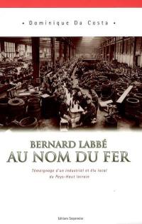 Au nom du fer : témoignage d'un industriel et élu local du pays haut-lorrain