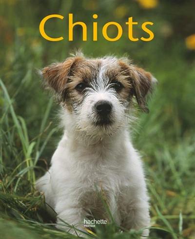 Le chiot