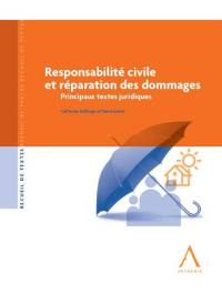 Responsabilité civile et réparation des dommages : principaux textes juridiques