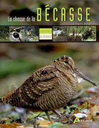 La chasse de la bécasse