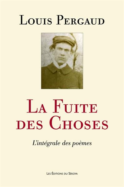 La fuite des choses : l'intégrale des poèmes