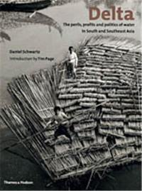 Delta : The Perils, Profits and Politics of Water in South and Southeast Asia (Paperback)