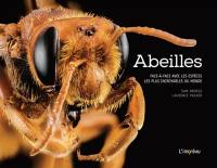 Abeilles : face-à-face avec les espèces les plus incroyables du monde