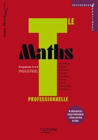 Maths, terminale professionnelle : groupements A et B industriel