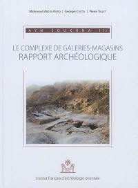 Ayn Soukhna. Vol. 3. Le complexe de galeries-magasins : rapport archéologique