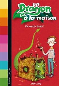 Un dragon à la maison. Vol. 1. Ca sent le brûlé !