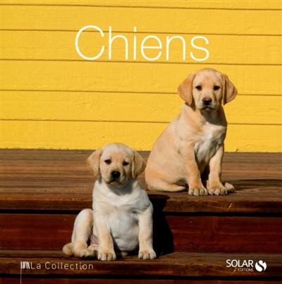 Chiens