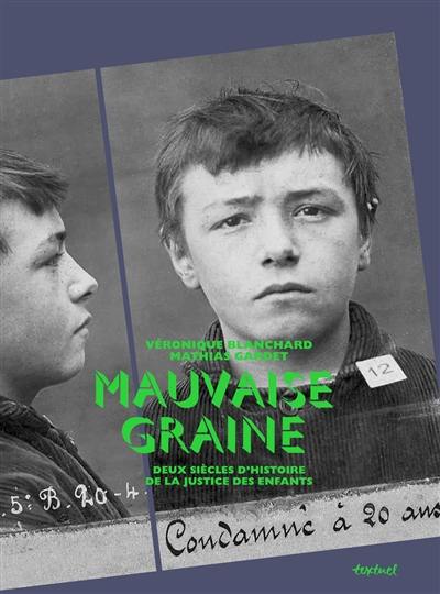 Mauvaise graine : deux siècles d'histoire de la justice des enfants