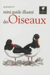 Le petit guide Marabout des oiseaux