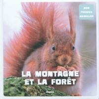 La montagne et la forêt