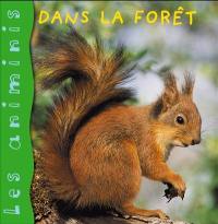 Dans la forêt