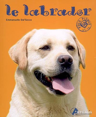 Le labrador