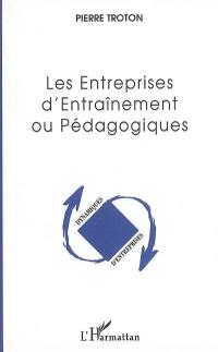 Les entreprises d'entraînement ou pédagogiques : entre apprentissage, expérience et insertion professionnelle