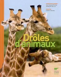 Drôles d'animaux