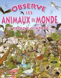 Observe les animaux du monde et trouve l'intrus...