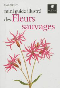 Le petit guide Marabout des fleurs sauvages