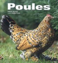 Poules