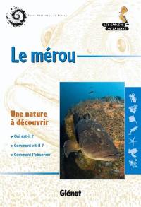 Le mérou : une nature à découvrir