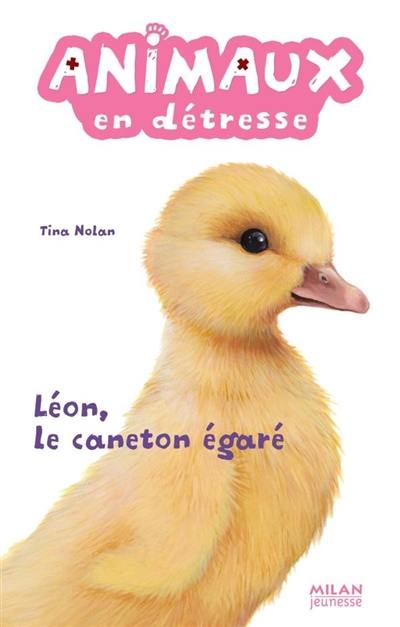 Animaux en détresse. Léon, le caneton égaré