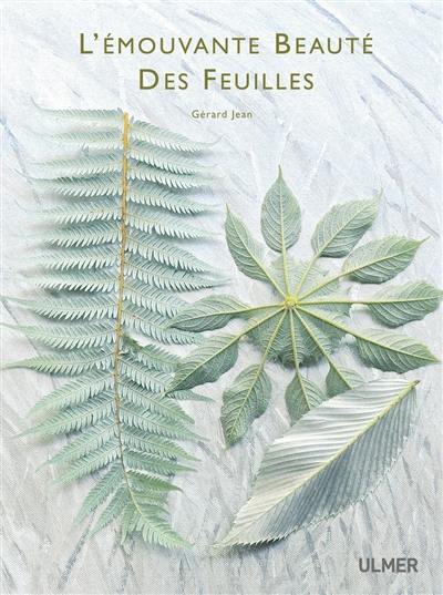 L'émouvante beauté des feuilles