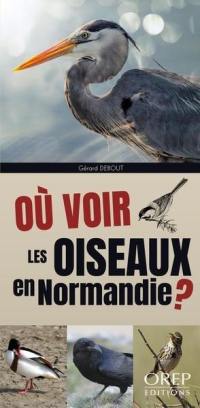 Où voir les oiseaux en Normandie ?