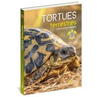 Tortues terrestres