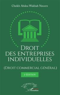 Droit des entreprises individuelles : droit commercial général