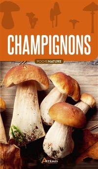 Champignons