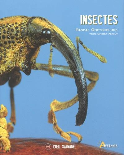 Insectes