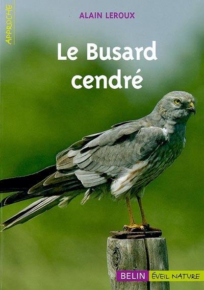 Le busard cendré