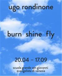 Ugo Rondinone burn shine fly