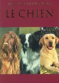 Le chien : mon compagnon