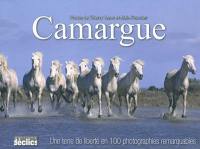 Camargue : une terre de liberté en 100 photographies remarquables