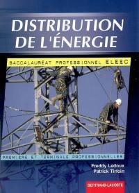 Distribution de l'énergie, baccalauréat professionnel ELEEC, première et terminale professionnelles