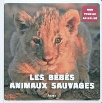 Les bébés animaux sauvages