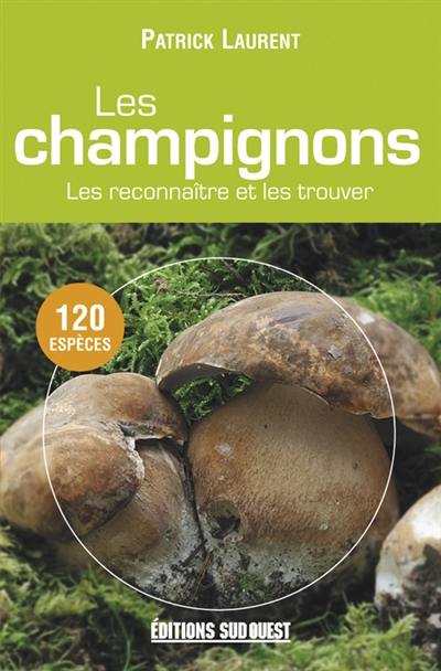 Les champignons