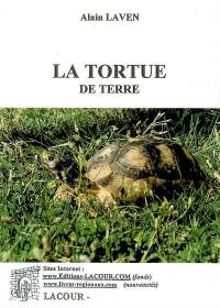 La tortue de terre