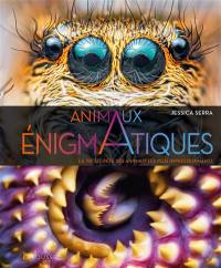 Animaux énigmatiques : la vie secrète des animaux les plus impressionnants