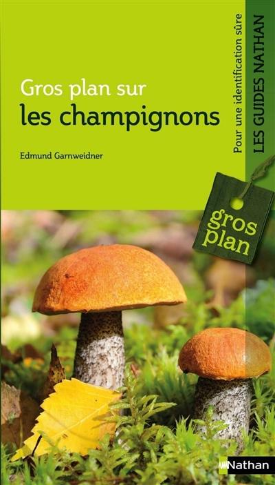 Gros plan sur les champignons