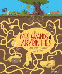 Mes grands labyrinthes : je découvre les mondes souterrains