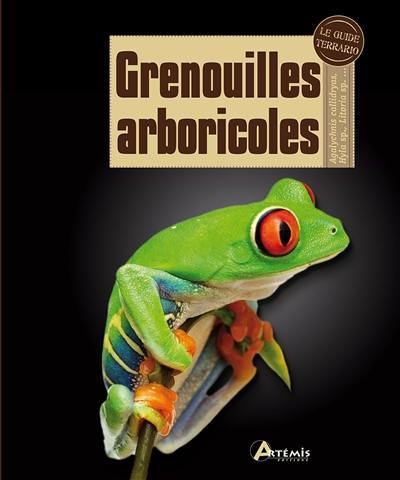 Grenouilles arboricoles : agalychnis callidryas, hyla sp., litoria sp., etc