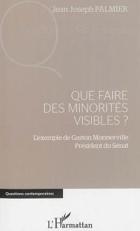 Que faire des minorités visibles ? : l'exemple de Gaston Monnerville, président du Sénat