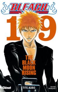 Bleach. Vol. 19. The black moon rising