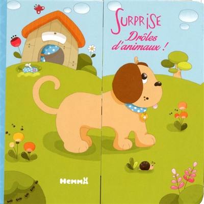 Surprise : drôles d'animaux !