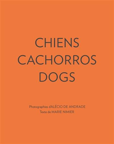 Chiens. Cachorros. Dogs